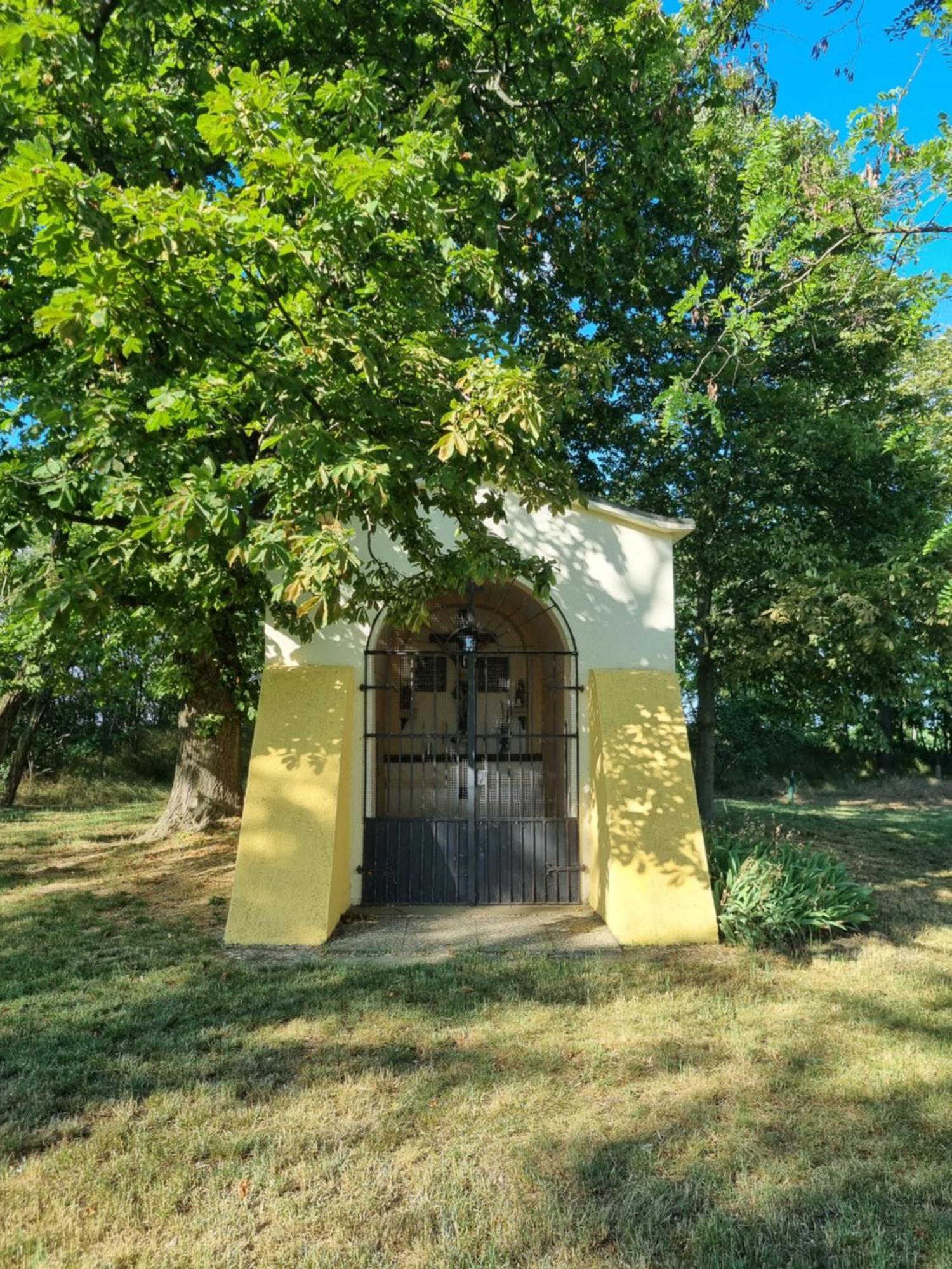 Birkenhof Gols - B & B - Wohlfuehl Hotel Mit Wochenend-Restaurant Esterno foto