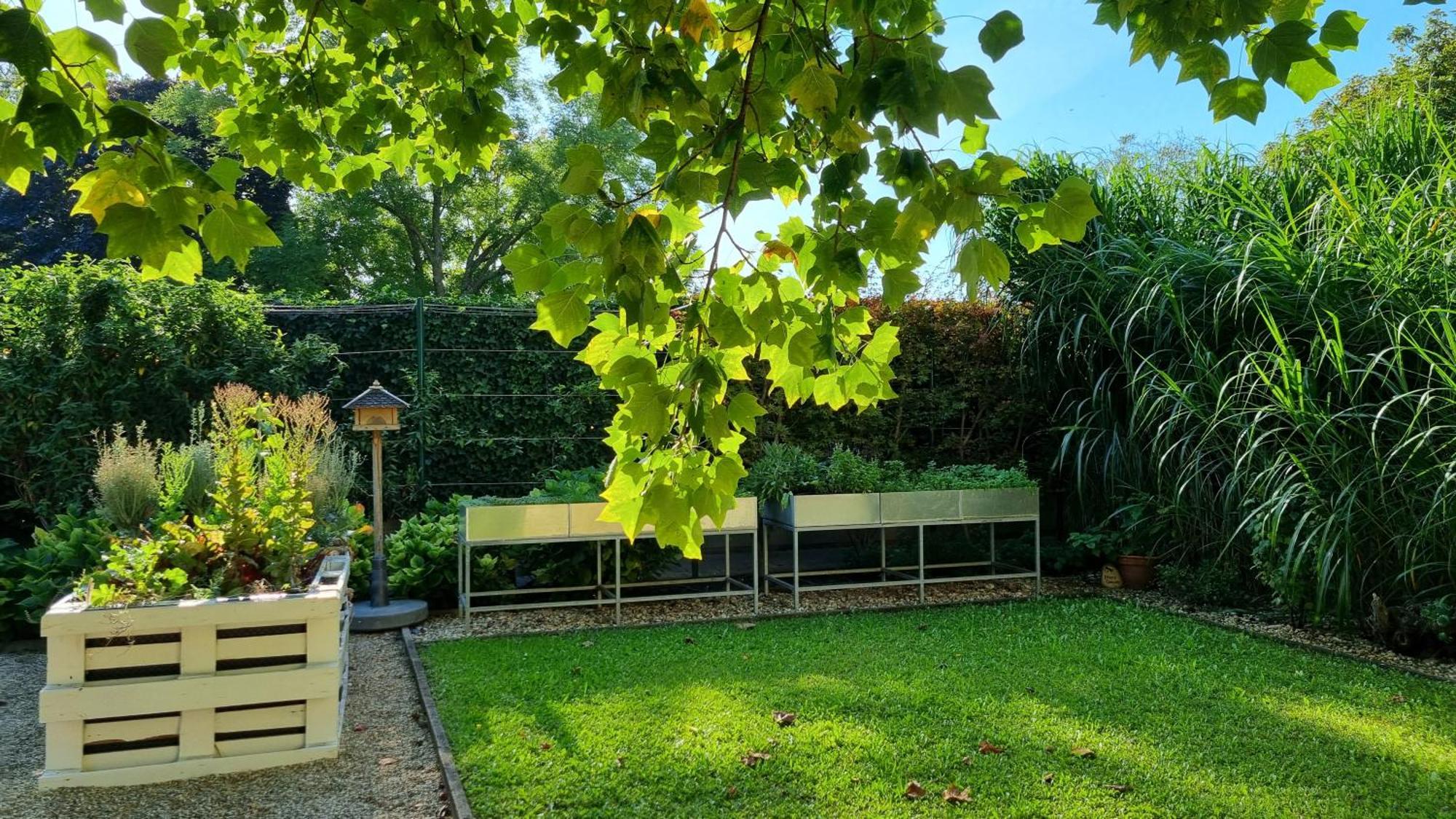 Birkenhof Gols - B & B - Wohlfuehl Hotel Mit Wochenend-Restaurant Esterno foto