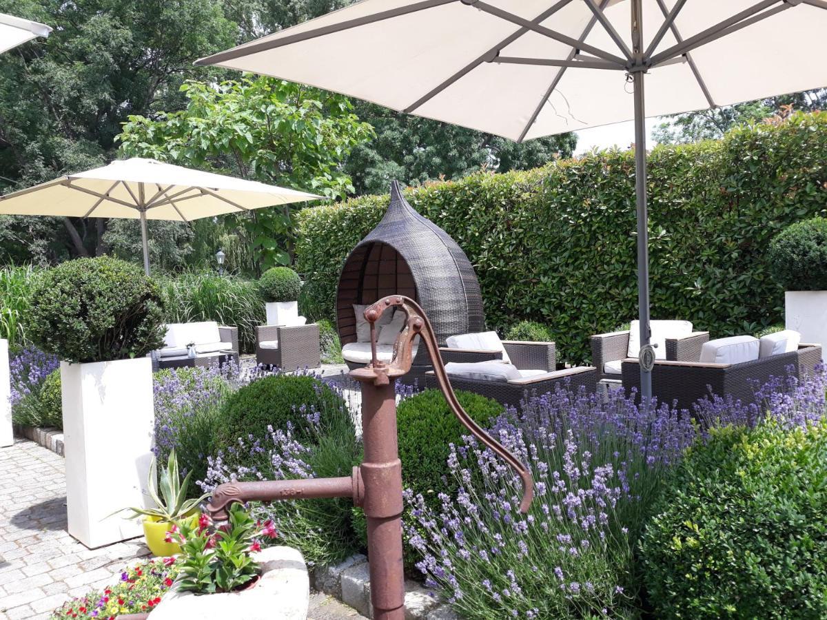 Birkenhof Gols - B & B - Wohlfuehl Hotel Mit Wochenend-Restaurant Esterno foto